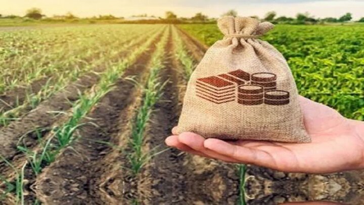 ۶۲ درصد تامین مالی بخش کشاورزی بر عهده بانک عامل تخصصی این حوزه است
